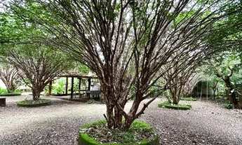 Imagem 5: Casa para aluguel no Taquaruçu, agende uma visita!!