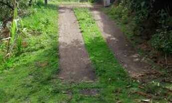 Imagem 2: Vendo chácara São Miguel em Domingos Martins