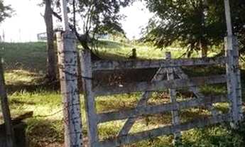 Imagem 3: Sitio em Itaboraí