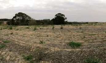 Imagem 6: Para quem busca um lugar para desfrutar de momentos de lazer com a família e amigos