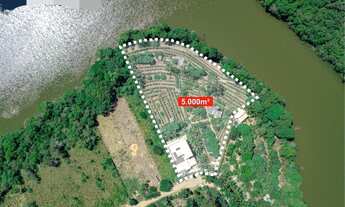 Imagem 4: Oportunidade Chácara em Meaípe 5.000 m² R$ 1,5 milhão com plantação de pitaías