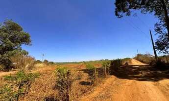 Imagem 3: Vendo chácara com plantação