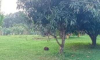 Imagem 5: Sítio,1 hectare, com uma vista para nascer do sol