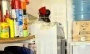 Imagem 5: Amplo apartamento com pé-direito alto arejado e iluminado em frente ao Abel