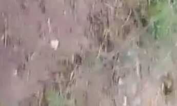 Imagem: Vende se um terreno. tamanho 10x30 área