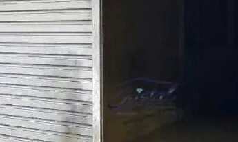 Imagem: Galpão para alugar, 100 m² -Jardim Arpoador