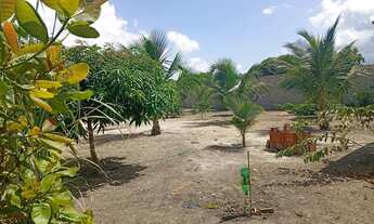 Imagem: Linda chácara novinha