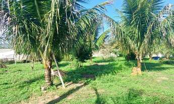 Imagem 3: Propriedade em Amélia Rodrigues