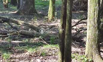 Imagem 5: Terreno em São Virgílio, Caxias do Sul