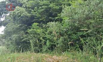 Imagem 6: Sítio à Venda em Gramado!