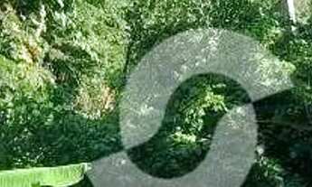 Imagem 5: TERRENO EM SÃO FRANCISCO