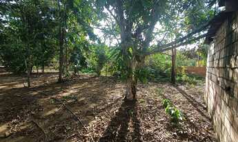 Imagem 5: /Lote em Açutuba com 800 m2