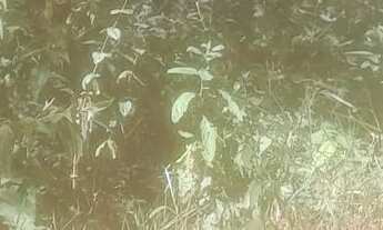 Imagem 2: Lote de 300 mts Terreno / lote com venda por R$45.000