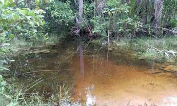 Imagem 6: Chacara de 3 hectares na estrada do manso 38 km da cidade de Cuiabá-MT