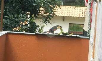 Imagem 5: Sobrado com 6 quartos à venda em Horto Florestal - SP