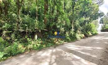 Imagem 7: Terreno à venda, 367m² a 529m² por R$ 80.000 - Centro - Colombo/PR