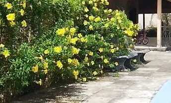 Imagem: FG- CHACARA NA REGIÃO DO COHATRAC