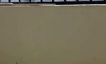 Imagem 7: Alugo Apartamento/casa