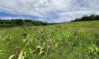 Imagem 4: Lotes para venda possui 500 metros quadrados em Colégio - Ibiúna - SP