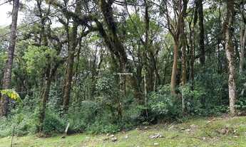 Imagem 7: TERRENO EM CONDOMINIO FECHADO, EM CANELA