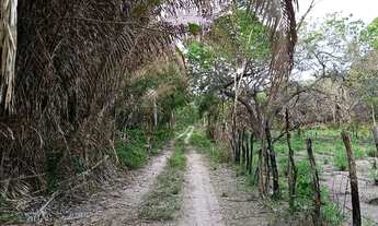 Imagem 2: Terreno Terreno / lote com venda por R$35.000