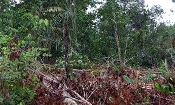 Imagem 3: Terreno a Venda na Estrada da Vila Paricatuba . Oferecendo pra um amigo