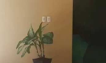 Imagem 5: Casa no Santa Isabel com 3 quartos sendo 2 suítes, terreno 12X30, financia