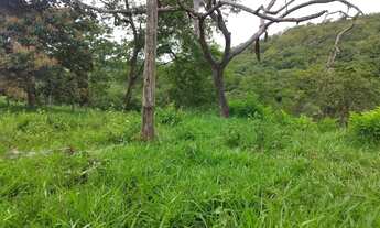 Imagem 5: Chácara disponível para venda em São Miguel do Passa Quatro Goiás