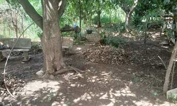 Imagem 4: 03) Terrenos (Proximo da Fabrica da Coca Cola em Varzea Grande-MT