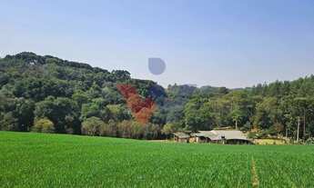 Imagem 3: Área de 20.000 m para Chácara Próxima a Araucária Ótima Oportunidade