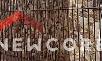 Imagem 3: Casa em Rua Barão de Tramandaí - Passo da Areia - Porto Alegre/RS