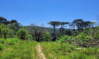 Imagem 3: Terreno em perímetro urbano - São Bento do Sul SC - 40.000 m²