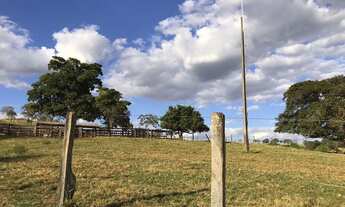 Imagem 5: Fazenda de 91 alqueires em Guapo-Go