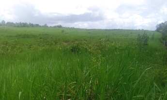 Imagem: 550 alqueires na região de Paragominas