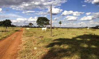Imagem 3: Fazenda de 91 alqueires em Guapo-Go