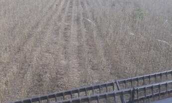 Imagem 2: 302 alqueires em Serranópolis-GO