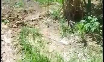 Imagem 4: Terreno top pronto pra construir documento ok