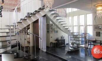 Imagem 7: São Paulo - Casa Padrão - Perdizes