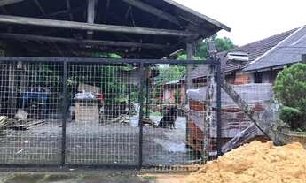 Imagem 5: Terreno no bairro Vila Luiza em Canela!