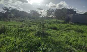 Imagem 2: Sitio em inhambupe 7 tarefa escriturado!