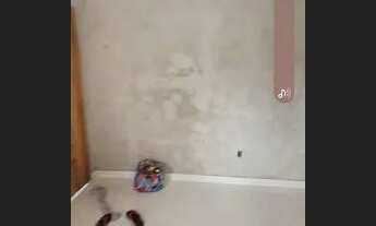 Imagem 7: Casa Casa com 1 dormitório