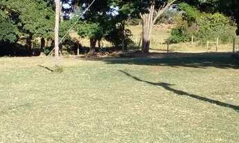 Imagem: Fazenda cabeceira Go