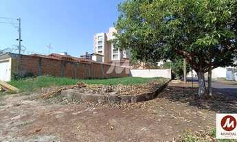 Imagem 2: Terreno (terreno normal