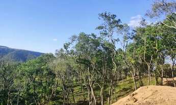 Imagem 4: Terreno 20.000m2 | São Luiz do Purunã