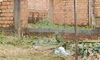 Imagem 3: Construção em mosqueiro