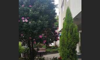 Imagem 3: Oportunidade única! Imperdível!