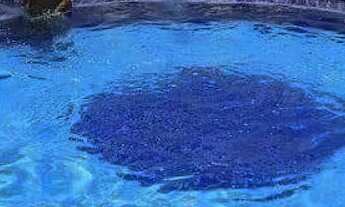 Imagem 6: Caldas novas casa da madeira centro