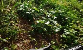 Imagem 3: Sítio sítio em engenho major pitanga 1 área 4