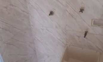 Imagem 3: Alugo apartamento em Madureira 2 quartos