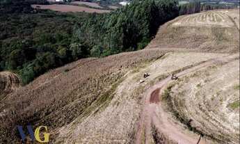 Imagem 2: Chácara para Venda em Balsa Nova, Bugre/Rodeio Santo Antônio
